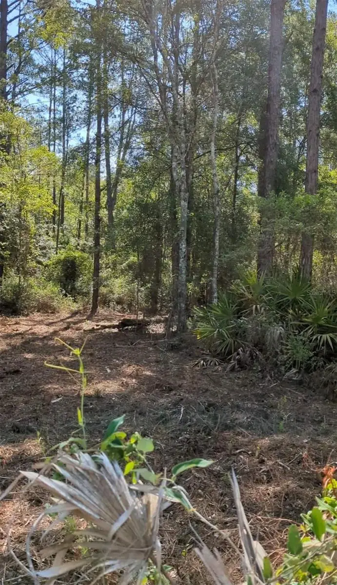Sw 126th Avenue, Lake Butler, FL 32054 - #3