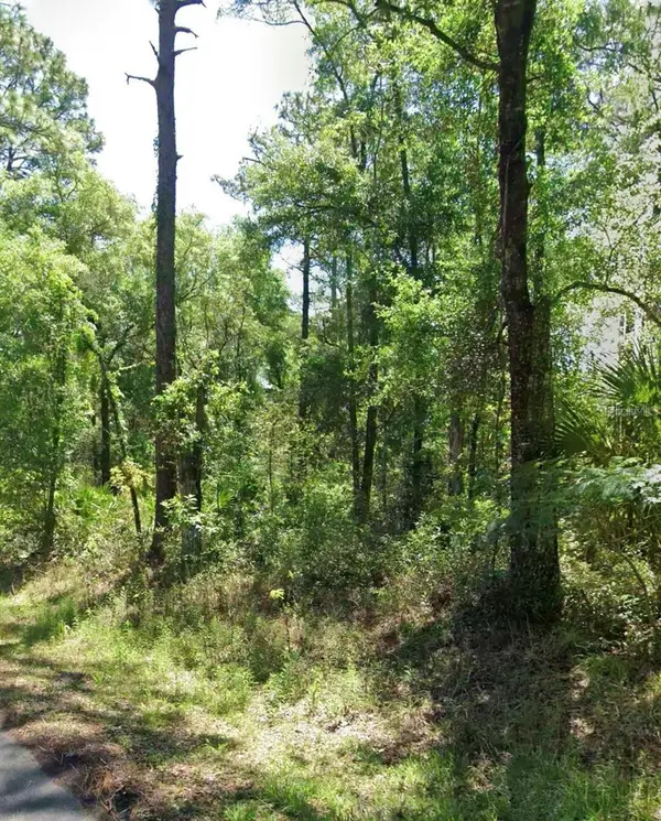 3718 E Walker Street, INVERNESS, FL 34453