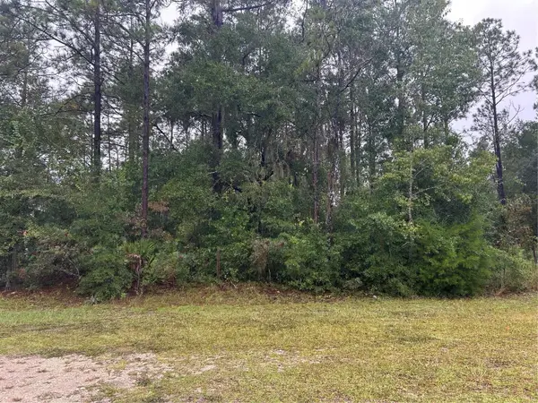 TBD NE 77th Court, BRONSON, FL 32621