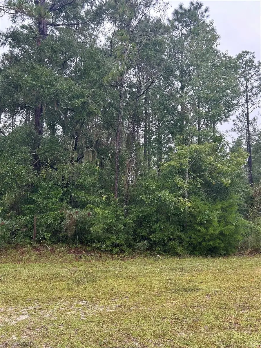 TBD NE 77th Court, Bronson, FL 32621 - #2