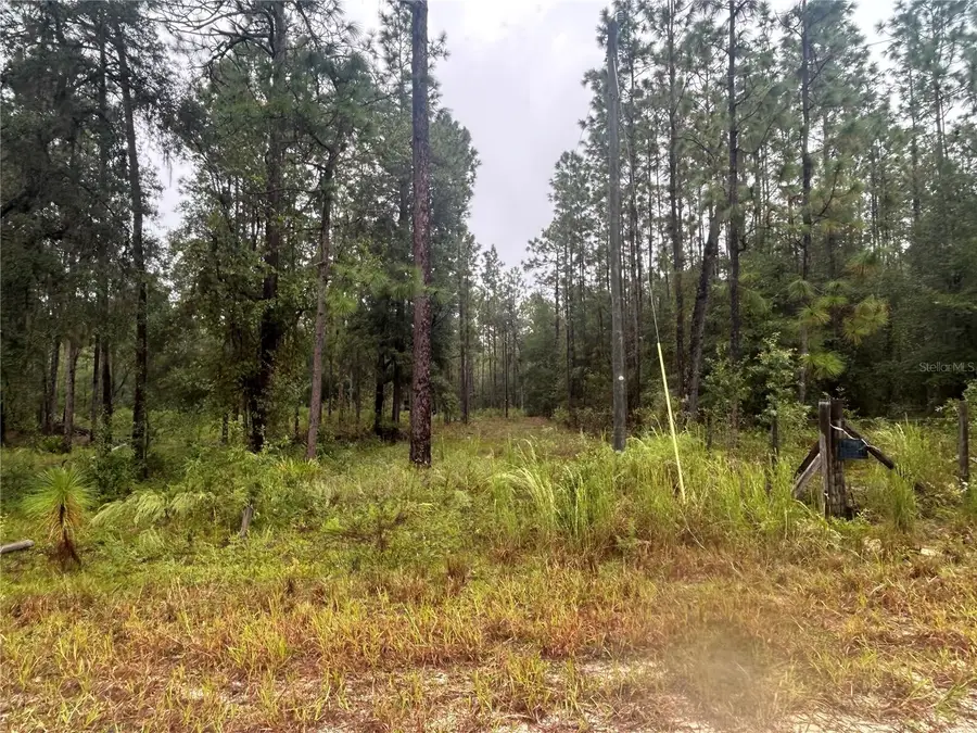 TBD NE 111th Lane, Bronson, FL 32621 - #2