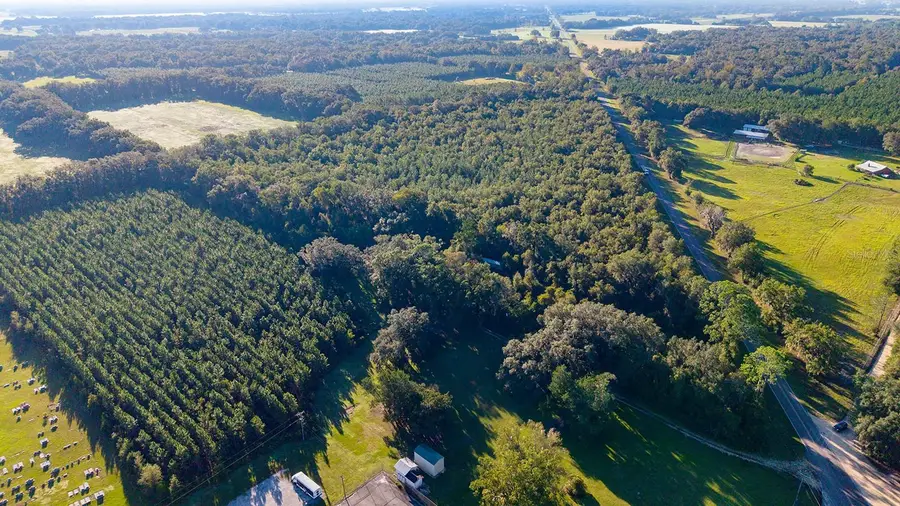 TBD 00 NW County Road 339, Trenton, FL 32693 - #2