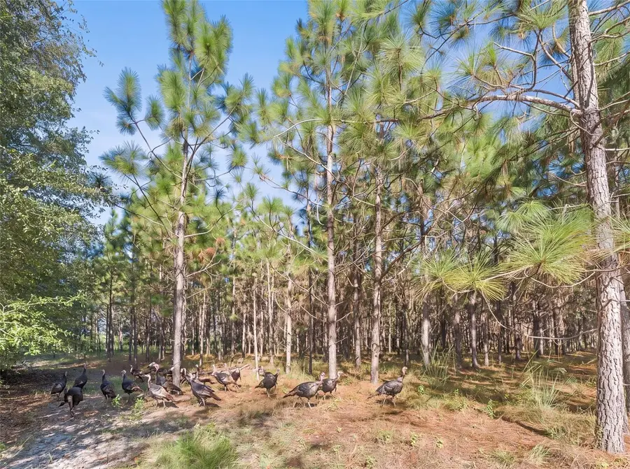 Address Withheld By Seller, High Springs, FL 32643 - #3