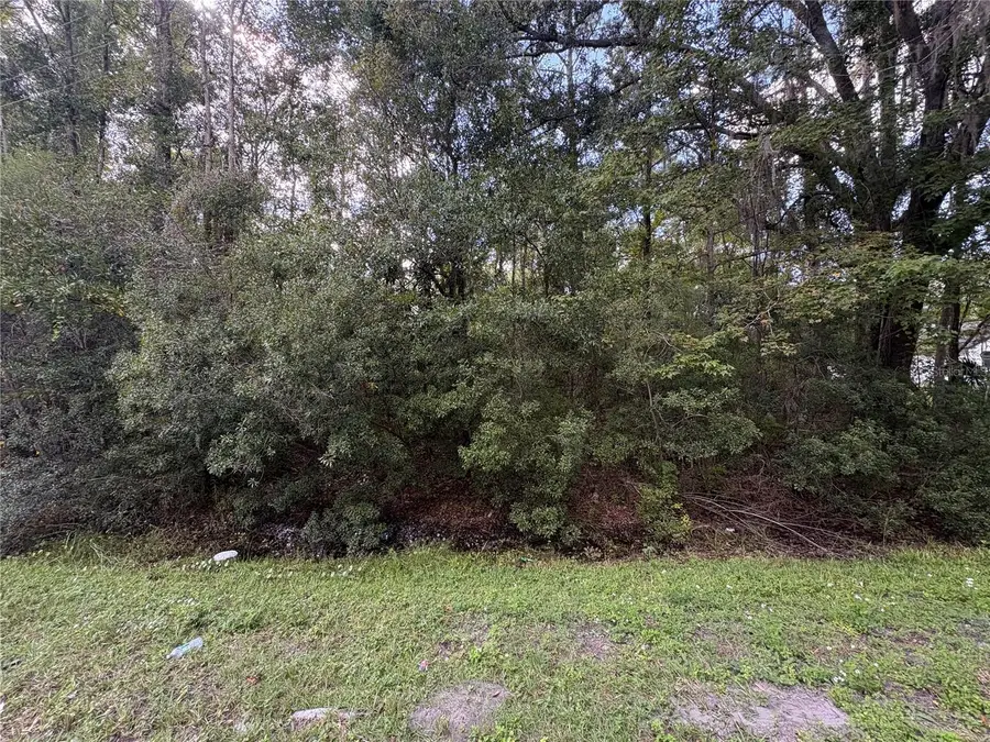 Ne Cr 200b, Lawtey, FL 32058 - #2
