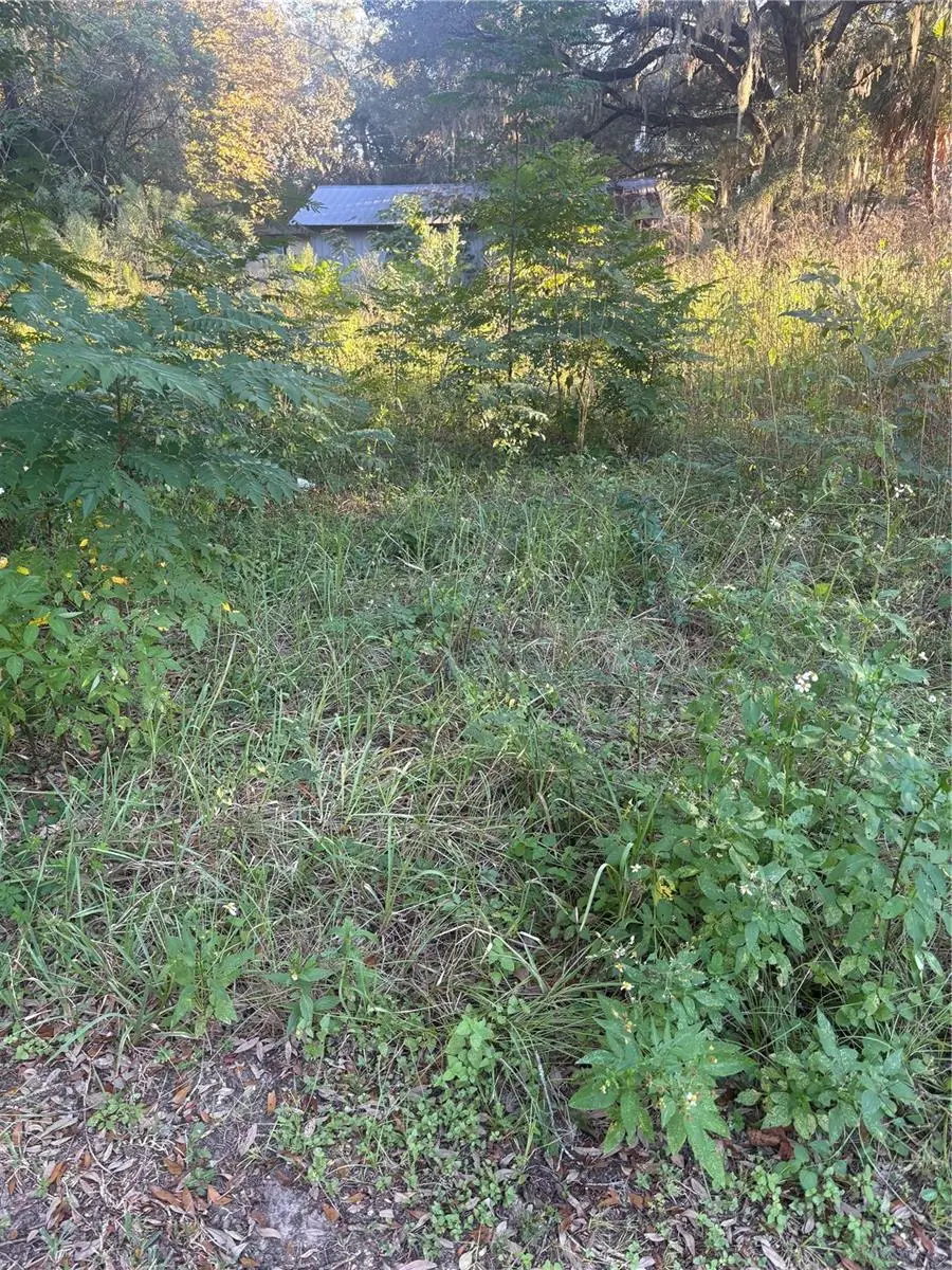 Nw 1st Street, Ocala, FL 34475 - #3