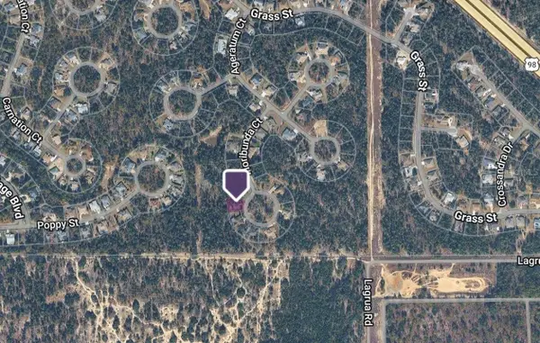 14 Floribunda Court, HOMOSASSA, FL 34446