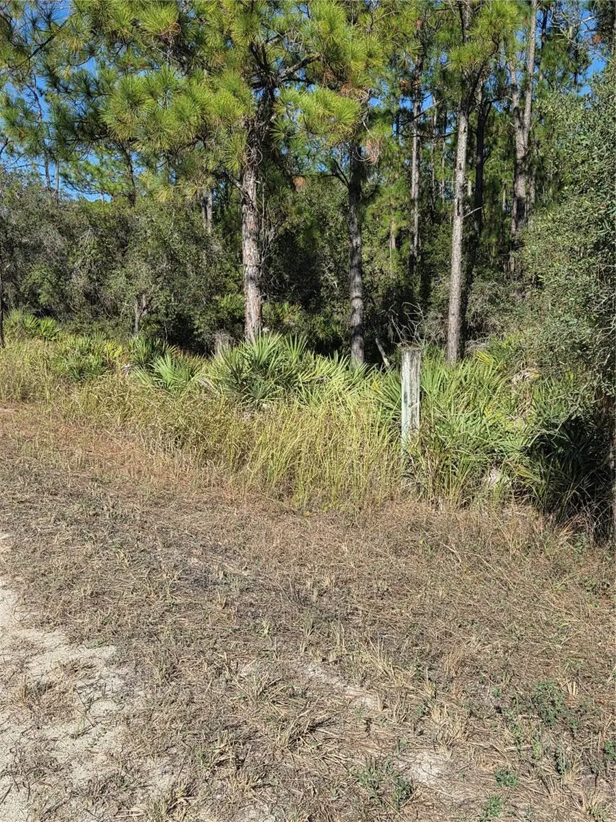 1351 R E Byrd Rd, Frostproof, FL 33843 - Image #3