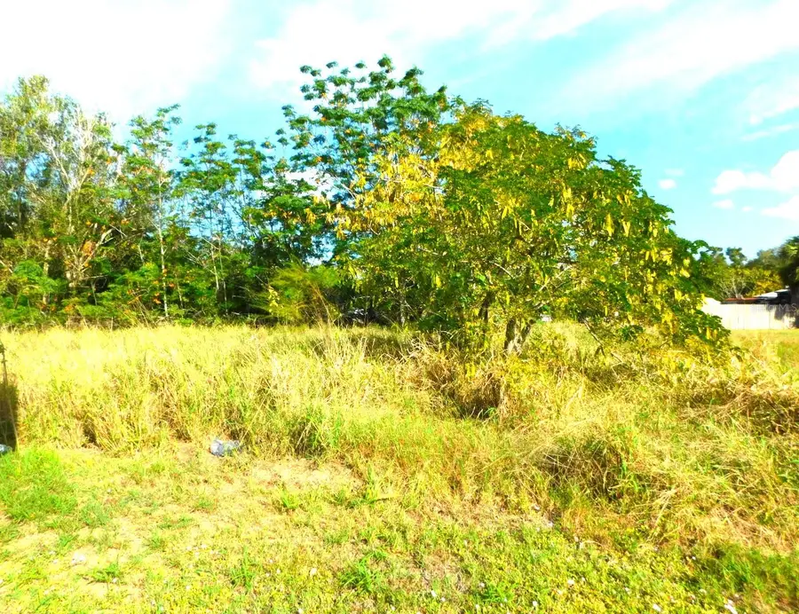 0 W State Road 60, Lake Wales, FL 33853 - Image #2