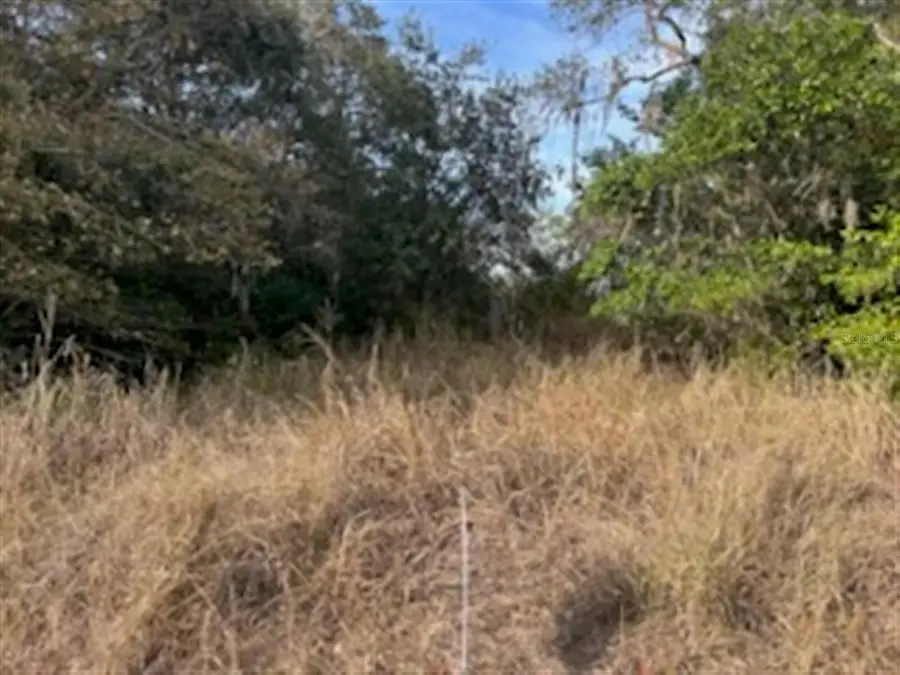 Sunset Trail, Babson Park, FL 33827 - Image #3