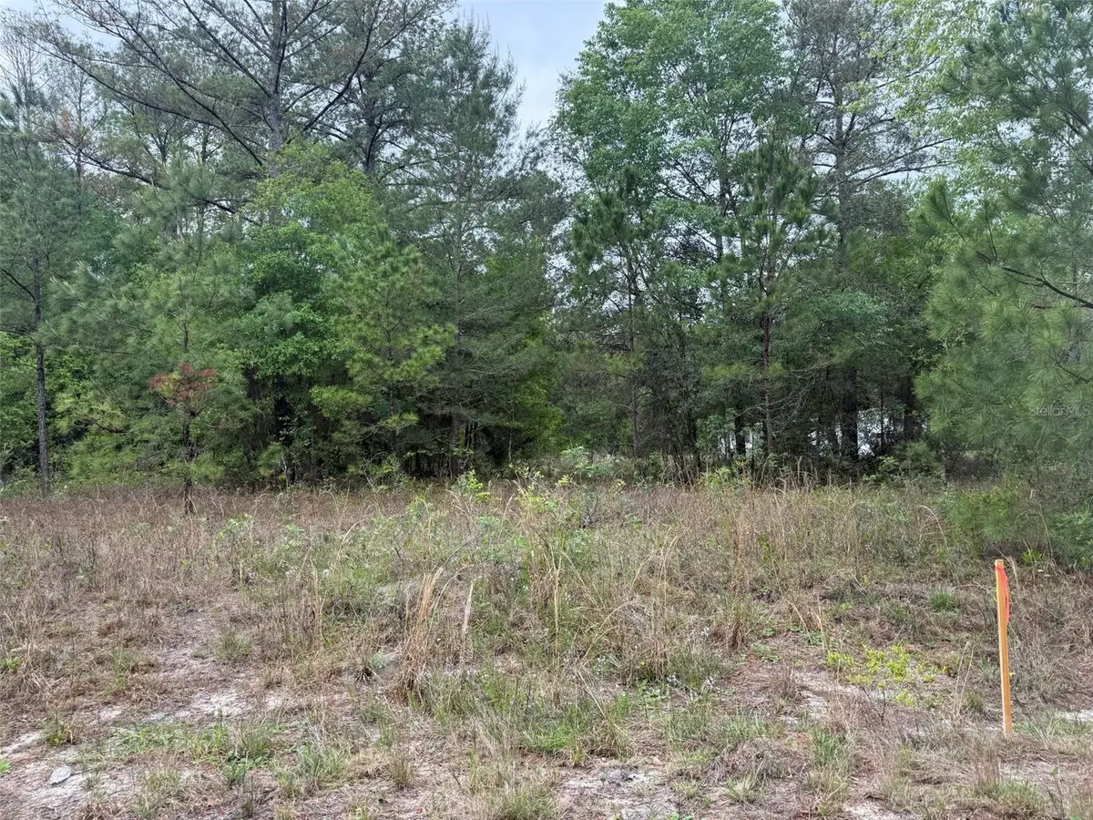 Maltas Avenue, Interlachen, FL 32148 - #1