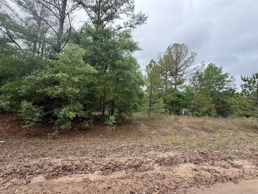 Maltas Avenue, Interlachen, FL 32148 - #2