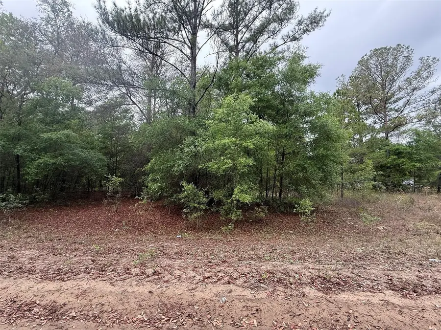 Maltas Avenue, Interlachen, FL 32148 - #3