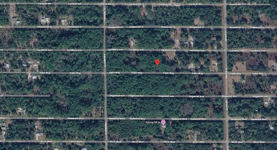 416 Palm Way, Georgetown, FL 32139 - #3