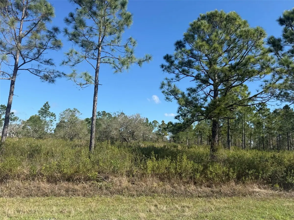 15942 NW 312th Street, Okeechobee, FL 34972 - #1