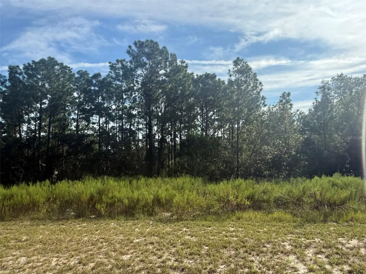 TBD SW 135th Street Road, Ocala, FL 34473 - #1