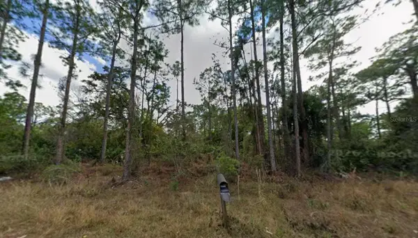 1210 Raphia Street E, LEHIGH ACRES, FL 33974