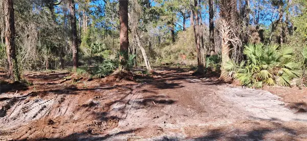 120 Gardenia Avenue, GEORGETOWN, FL 32139