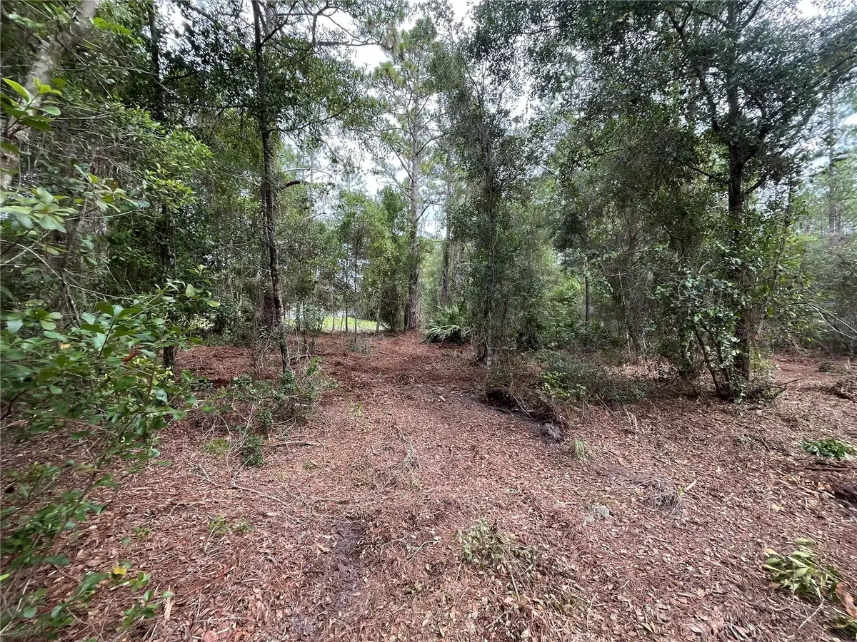 122 Glenside Street, Georgetown, FL 32139 - #1