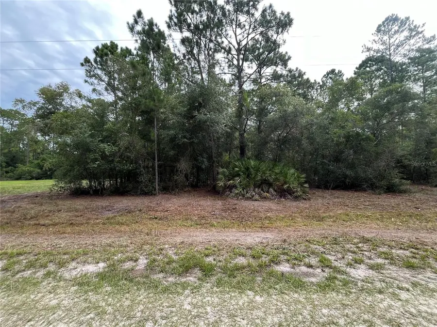 122 Glenside Street, Georgetown, FL 32139 - #3