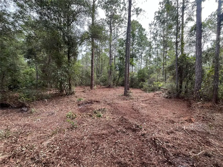 124 Glenside Street, Georgetown, FL 32139 - #2