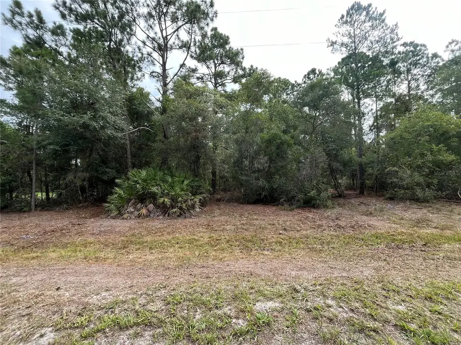 124 Glenside Street, Georgetown, FL 32139 - #3