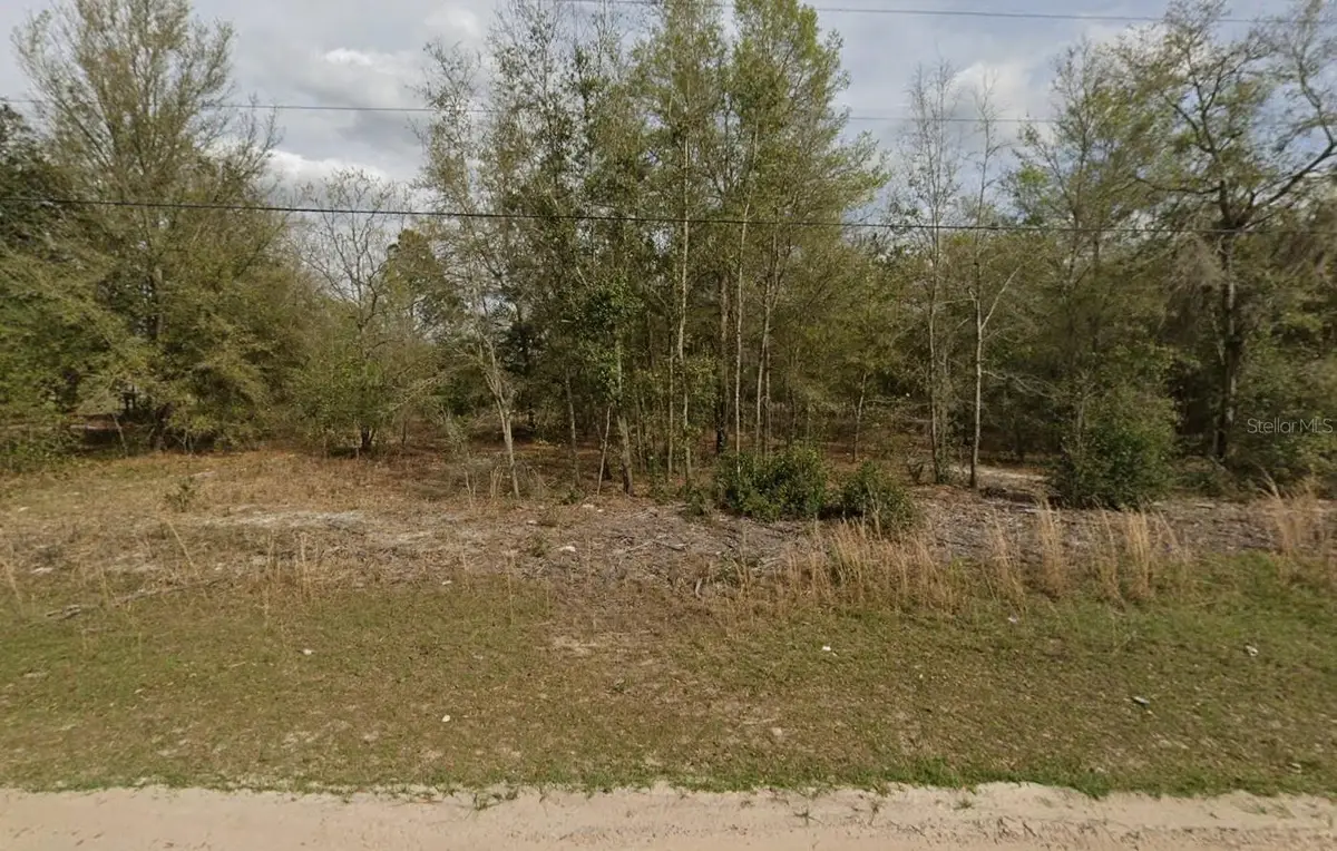 LOT 15 Marion Avenue, Interlachen, FL 32148 - #1