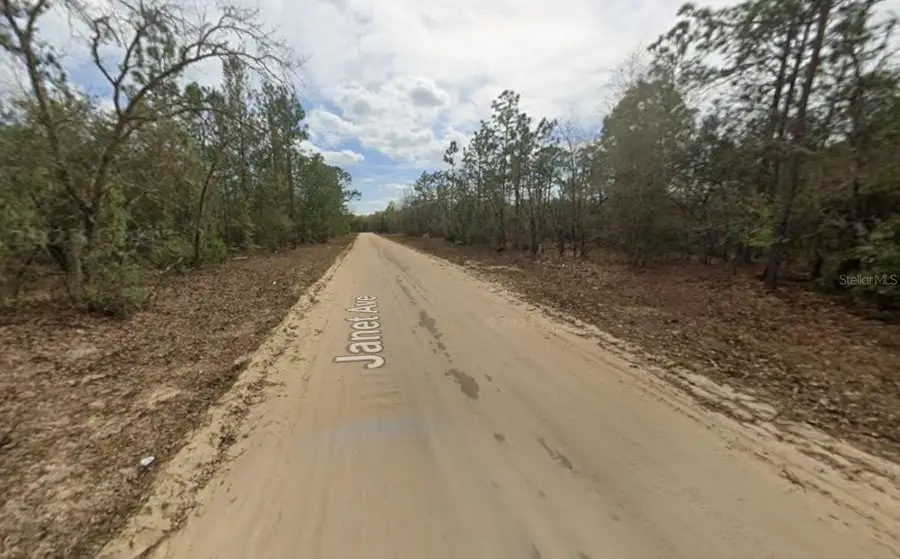 LOT 28 Janet Avenue, Interlachen, FL 32148 - #2