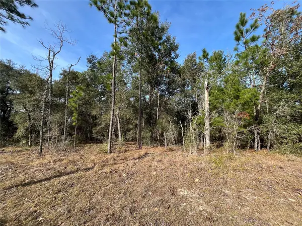 6168 Emory Avenue, KEYSTONE HEIGHTS, FL 32656