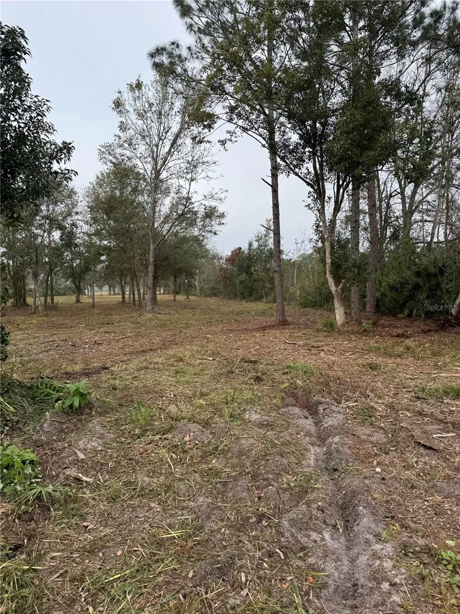 0 West Frostproof Road, Frostproof, FL 33843 - #3