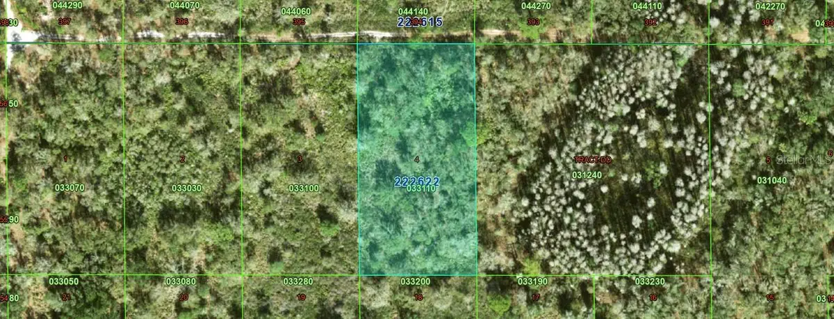 Inaccessible Tract, Kathleen, FL 33849 - #1
