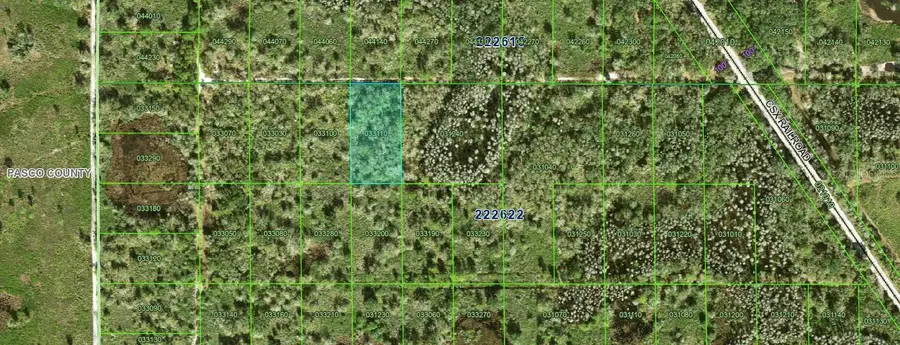 Inaccessible Tract, Kathleen, FL 33849 - #2