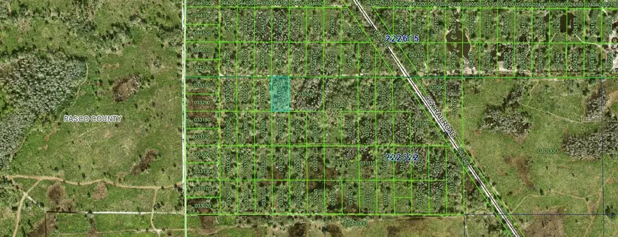 Inaccessible Tract, Kathleen, FL 33849 - #3