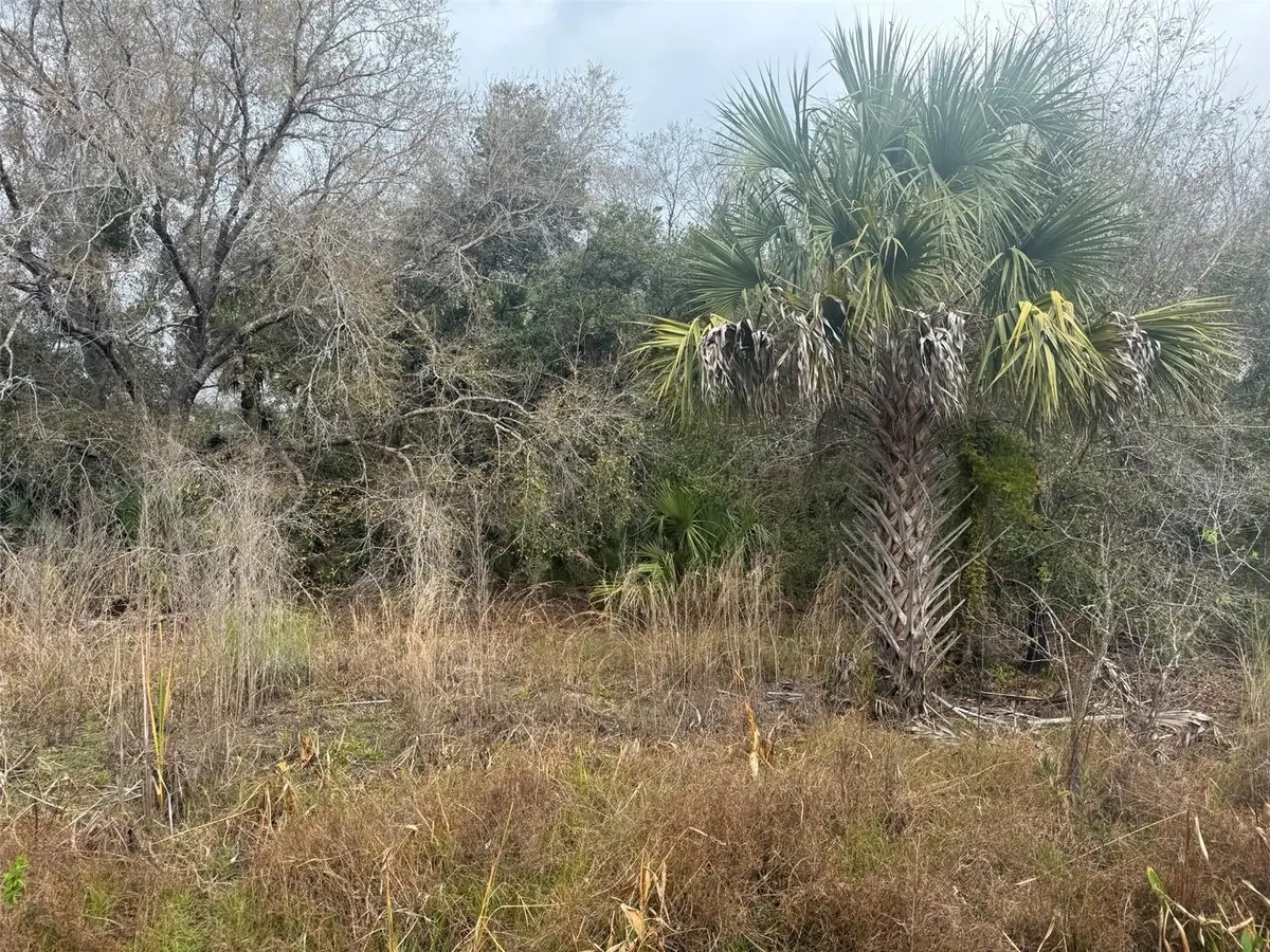 17667 NW 254th Street, Okeechobee, FL 34972 - #1