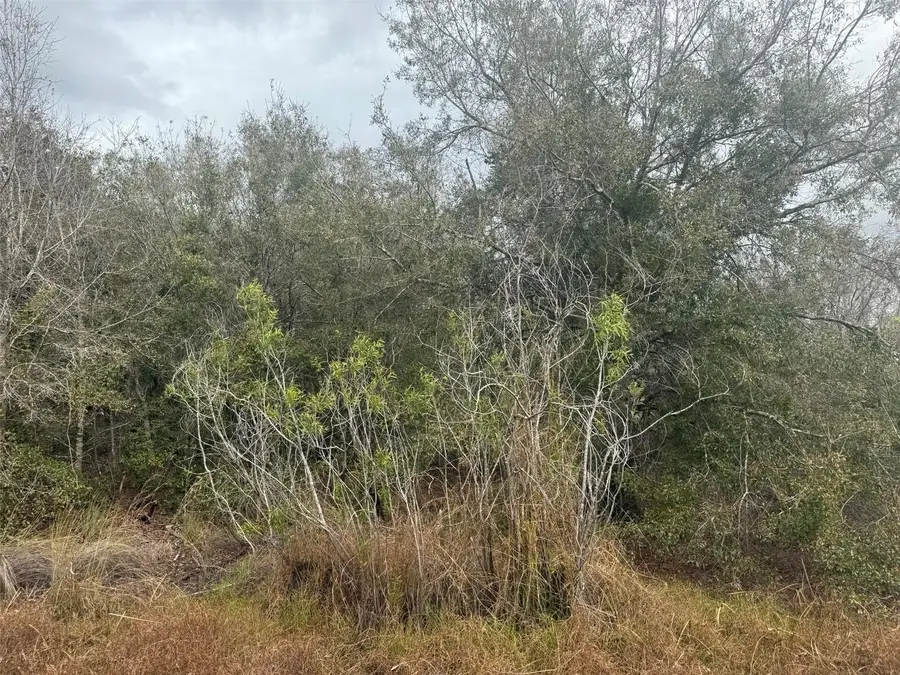 17667 NW 254th Street, Okeechobee, FL 34972 - #2