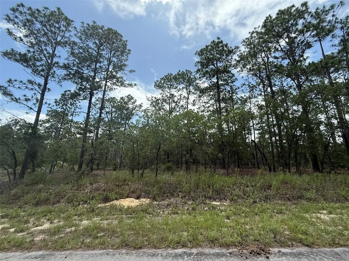 TBD Tree Top Road, Dunnellon, FL 34431 - #1