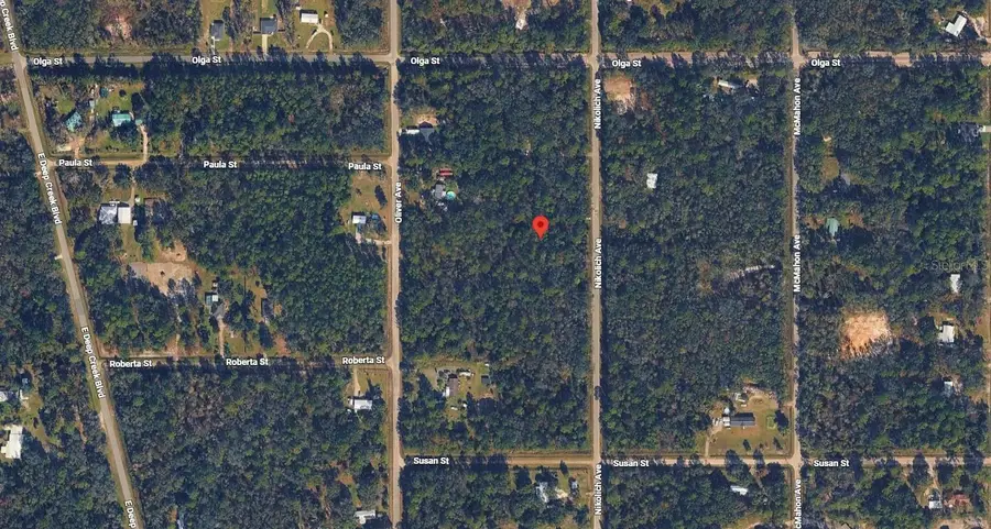 10135 Nikolich Avenue, Hastings, FL 32145 - #3