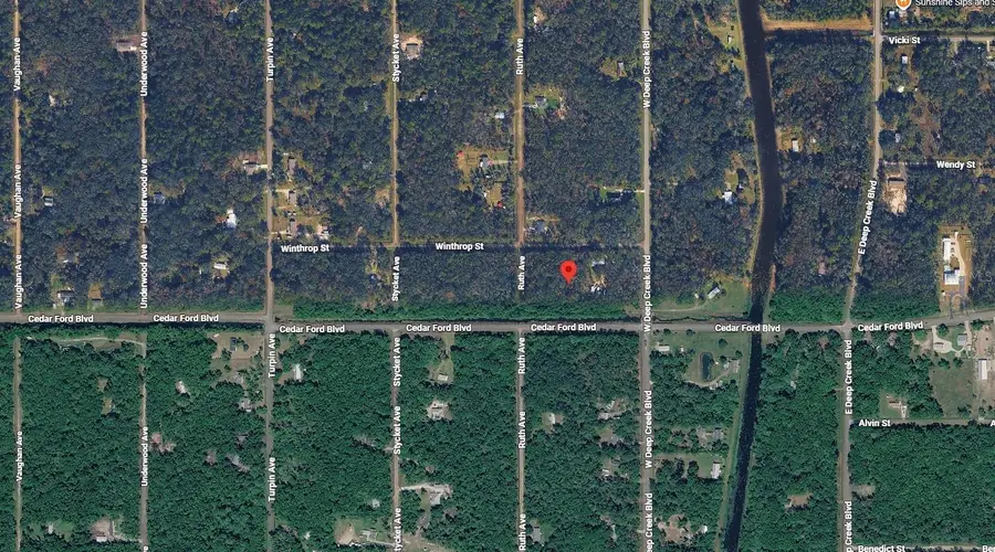 4816 Cedar Ford Boulevard, Hastings, FL 32145 - #3