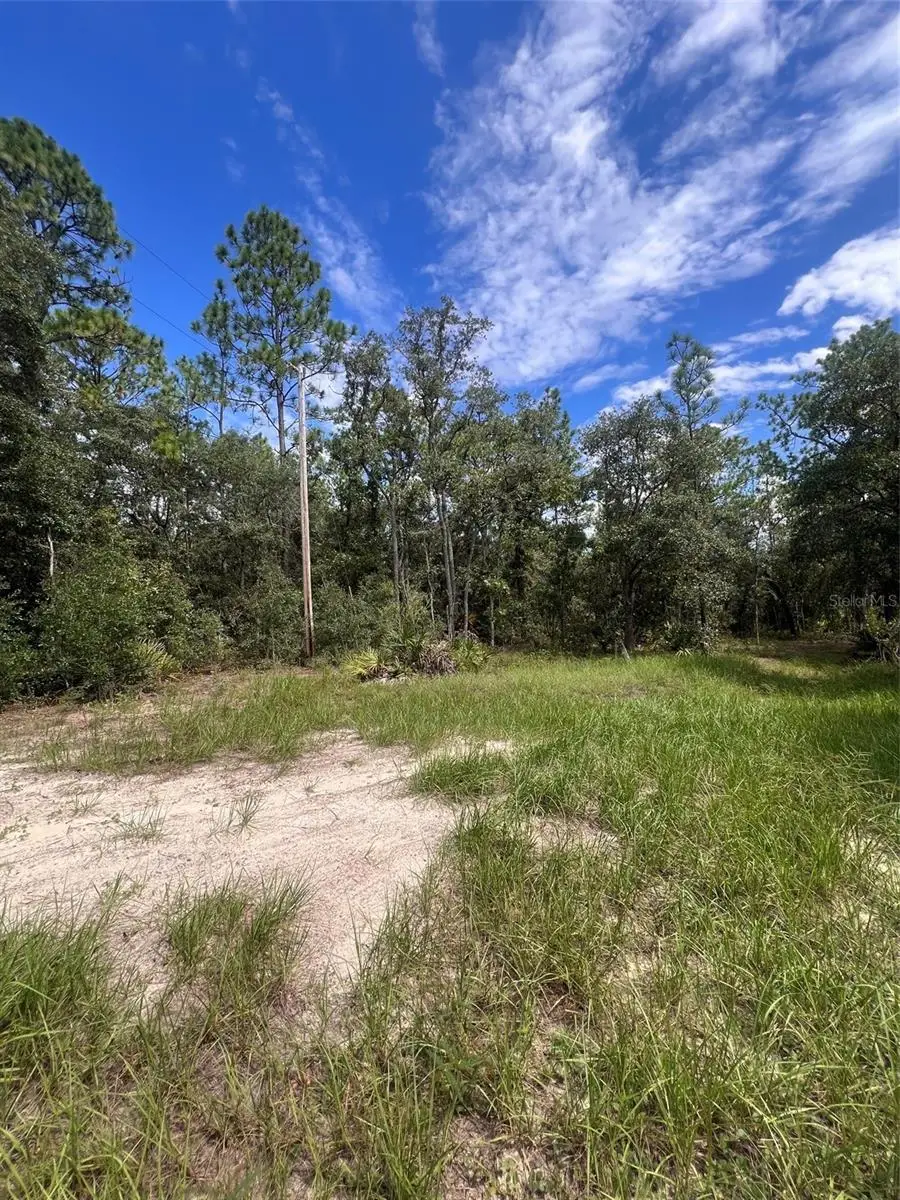 5614 S Georgian Road, Homosassa, FL 34446 - #1