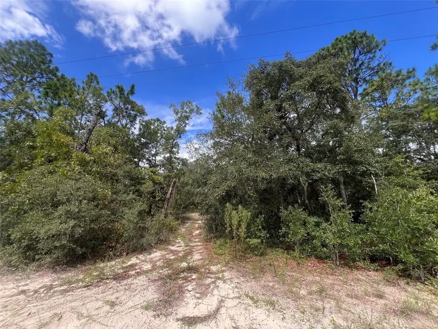 5614 S Georgian Road, Homosassa, FL 34446 - #2