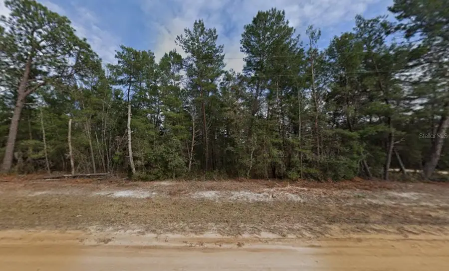 Creager Avenue, Interlachen, FL 32148 - #2