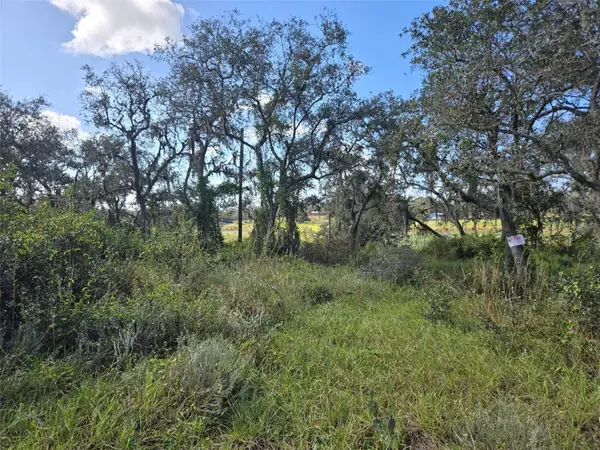 1600 Aldo Road, BABSON PARK, FL 33827