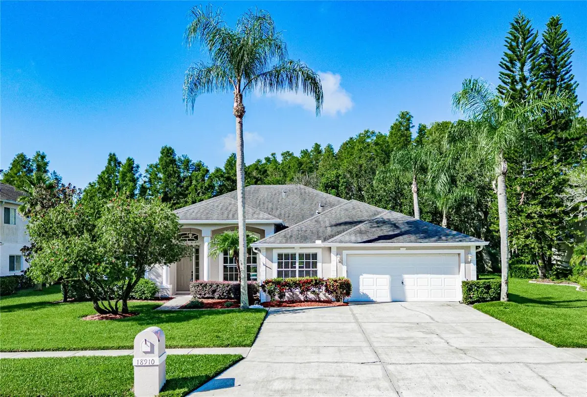 18910 Saint Laurent Drive, Lutz, FL 33558 - Image #1