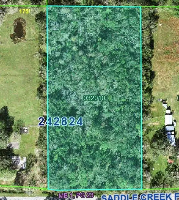 4520 E Saddle Creek Farm Road, LAKELAND, FL 33801