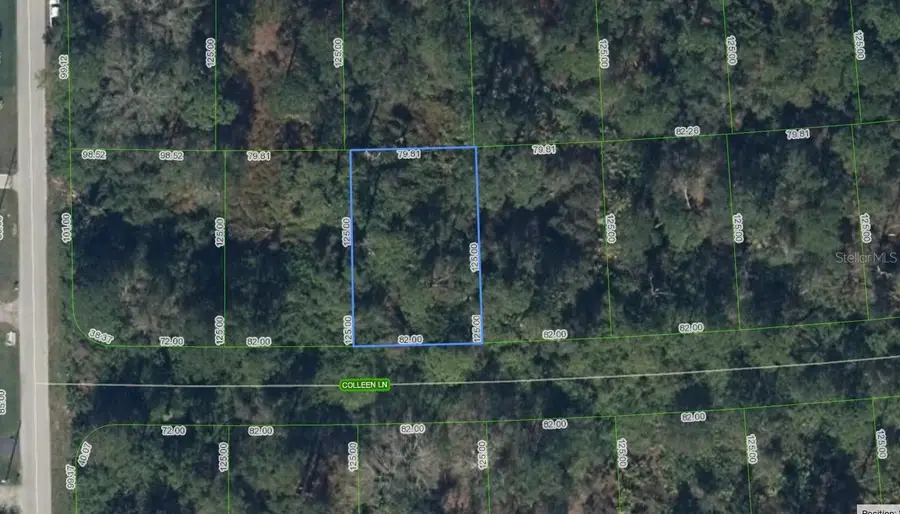 208 Coleen Lane, Lake Placid, FL 33852 - Image #3