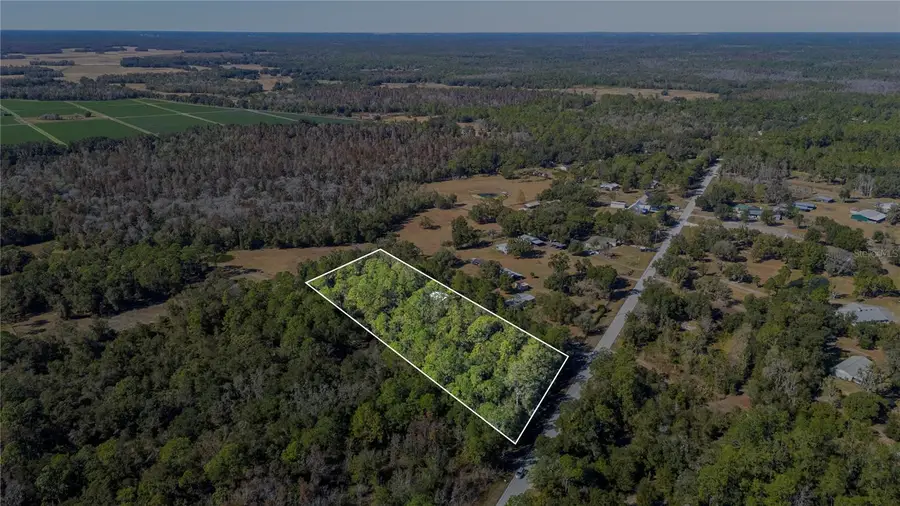 10002 Old Dade City Road, Lakeland, FL 33810 - Image #3