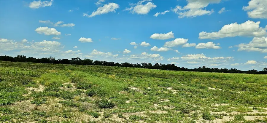 Mammoth Grove Road, Lake Wales, FL 33898 - Image #3