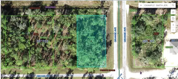 0 Orchid Drive, INDIAN LAKE ESTATES, FL 33855