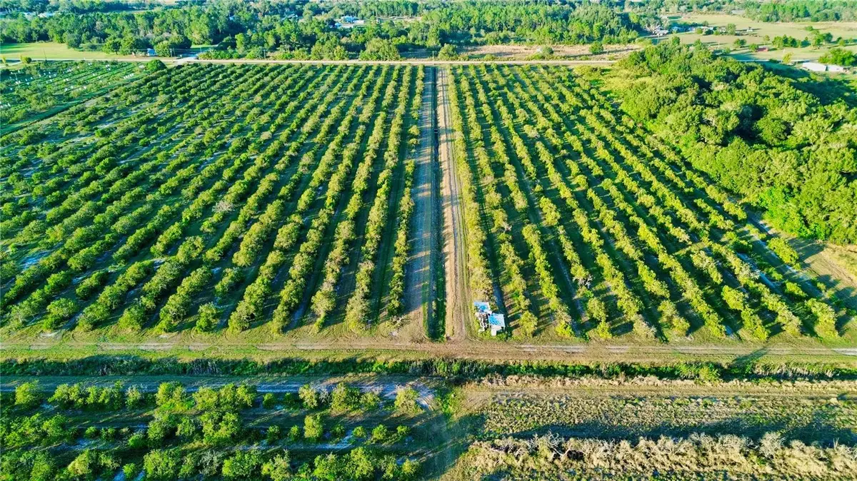 2233 Hicks Road, Lorida, FL 33857 - Image #1