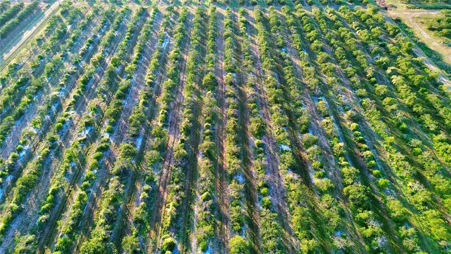 2233 Hicks Road, Lorida, FL 33857 - Image #3