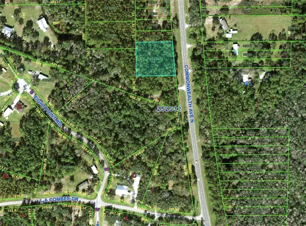 Commonwealth Avenue N, POLK CITY, FL 33868